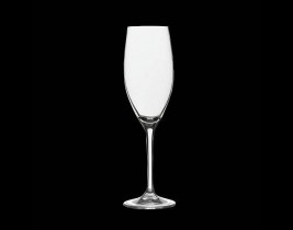Champagne Flute