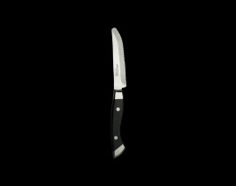 Steak Knife  WL670527