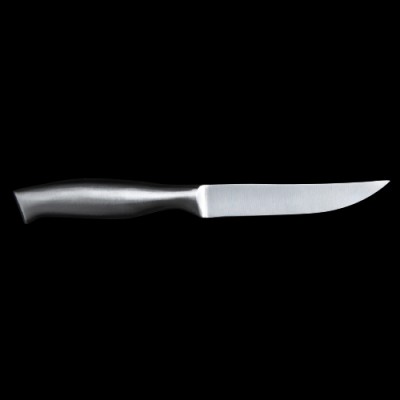 Steak Knife Tapered Sharpened Blade SS Handle